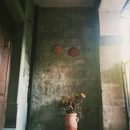 Il Glicine